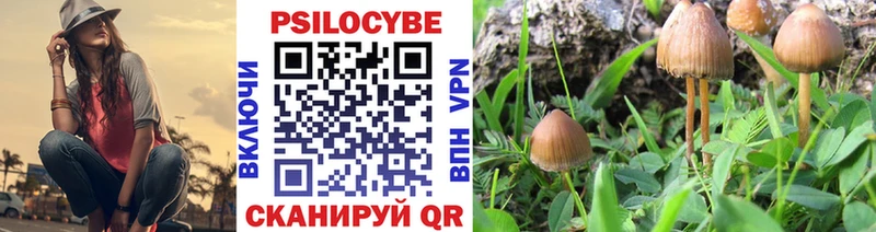 Купить где Ивантеевка Псилоцибиновые грибы Psilocybine cubensis